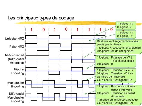 Image result for Different Type De Codage