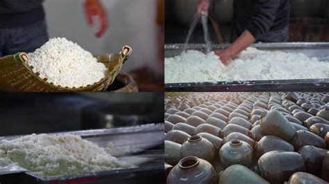 米酒制作方法及步骤，自制糯米酒的酿造方法__凤凰网