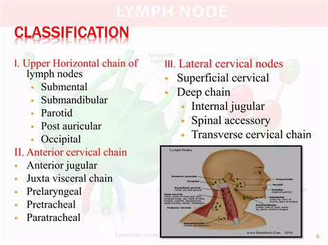 EXAMINATION OF LYMPH NODE..pptx