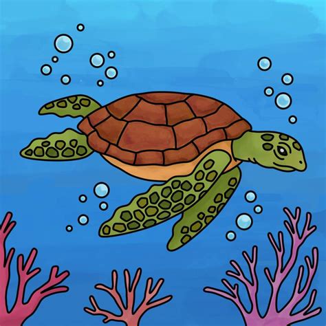 Sea Turtle Drawing - Drawing with Dawn