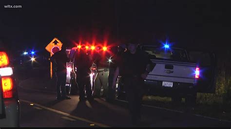 7 people shot, 2 killed in South Carolina party shooting | wltx.com