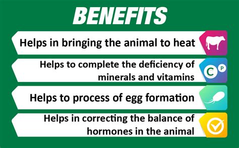 REFIT ANIMAL CARE - Heat and Fertility Bolus for Cows, Buffalo, and ...