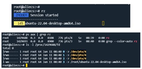 Remote Connect Create Rtz File 的图像结果