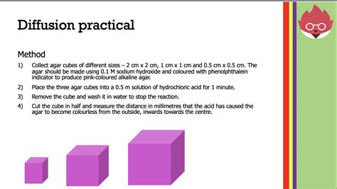 Image result for Diffusion GCSE Science