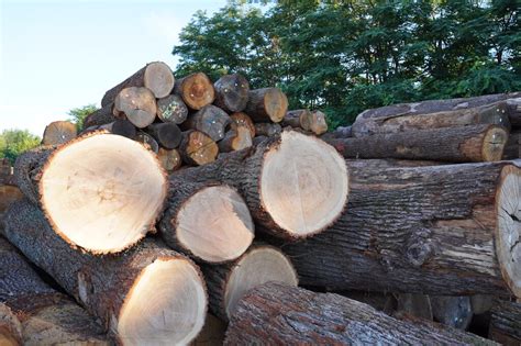 Image result for Logs Logog