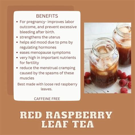 The benefits of raspberry leaf tea – Artofit