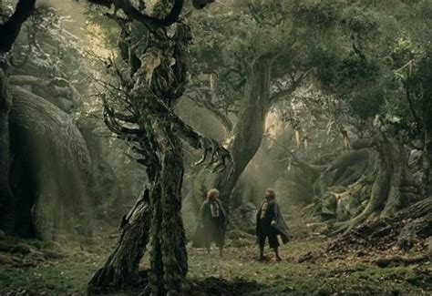 Image result for Lotr Tree Ent