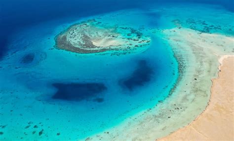 Red Sea 的图像结果