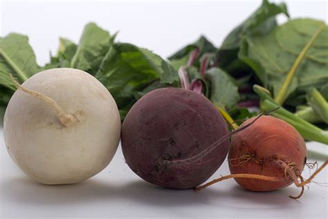 Difference between: beets and turnips - ErinNudi.com