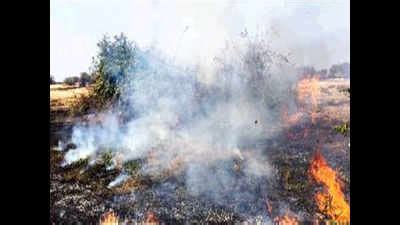 Pernem plateau fire ravages large tracts of farmland | Goa News - Times ...