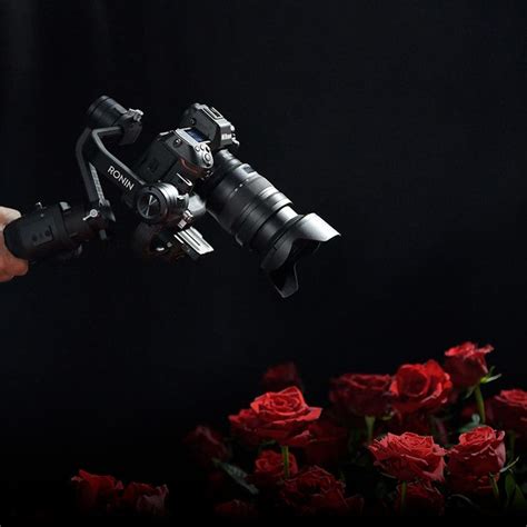 Learn & Explore | Nikon India