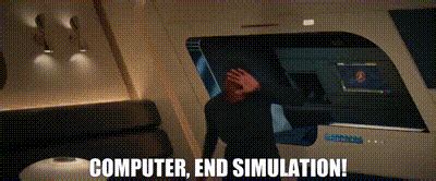 Computer End Simulation 的图像结果