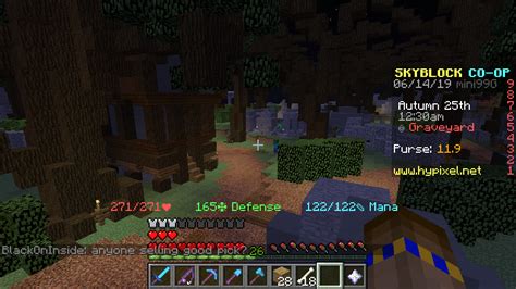 Image result for Hypixel Skyblock Guide