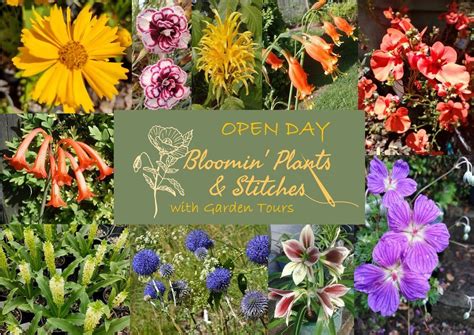 Bloomin Plants and Stitches Open Day - Saturday 2 December, 1014 ...