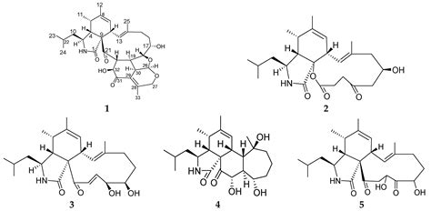 Two Novel Aspochalasins from the Gut Fungus Aspergillus sp. Z4