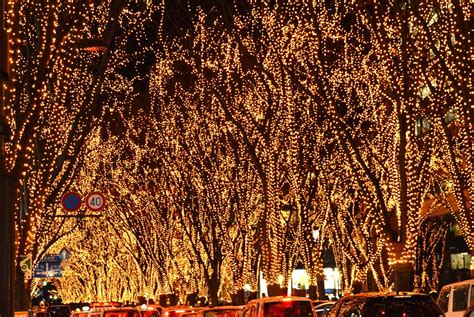 Where To Visit Japan November