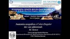 vasi addominali eco color doppler dei vasi addominali vasi addominali eco color doppler dei vasi addominali