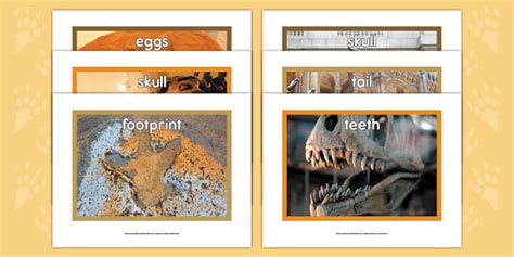 Dinosaur Fossil Photos to Print for Kids | Twinkl USA