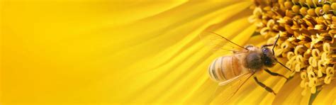 Adhikari Engineering Pvt.Ltd.