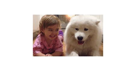 Image result for Image Filter Example