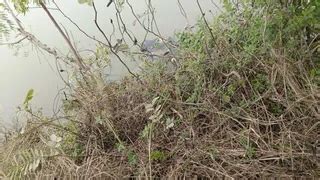 भोजपुर में घर से लापता सुरक्षा गार्ड का नहर में मिला शव, शरीर पर चाकू ...