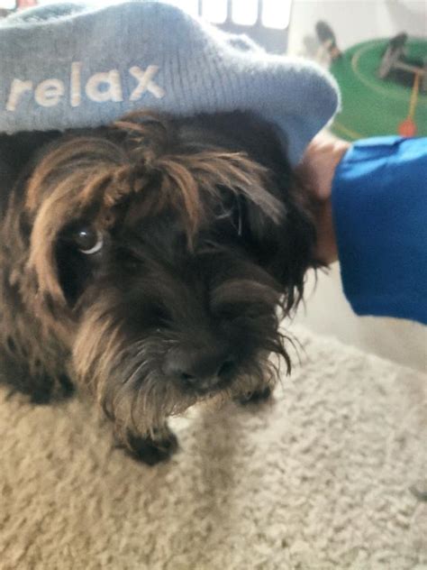 Kaiser Bräu - Veldensteiner Hefe Weißbier Dunkel: Beer Ratings & Tests ...