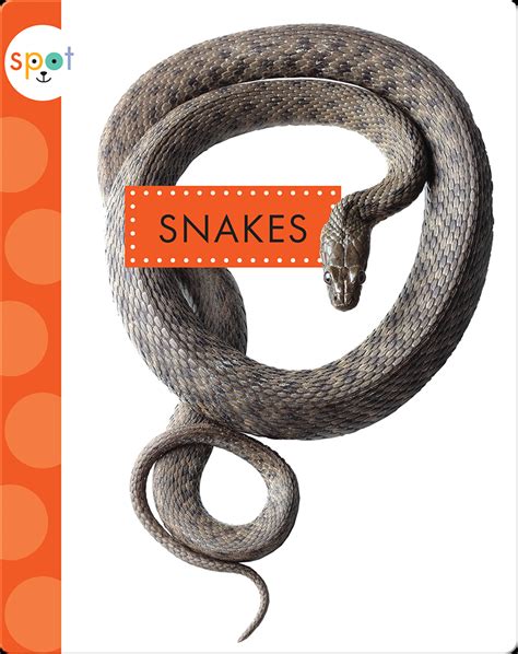 Backyard Animals: Snakes Book by Mari Schuh | Epic
