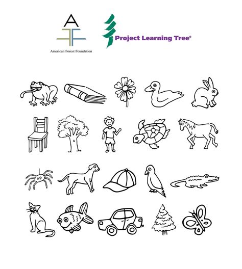 Image result for Project Learning Tree Activities