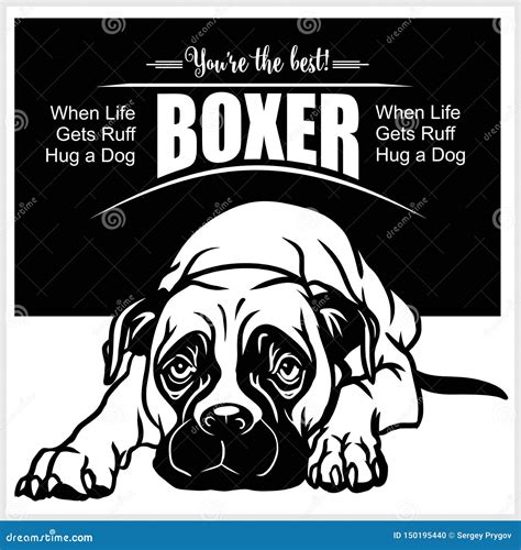 Boxer Logo 的图像结果