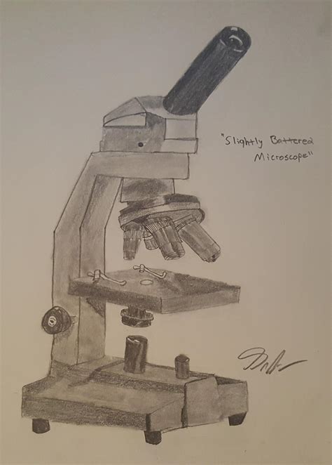 How To Draw And Label A Light Microscope