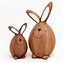 Image result for Easter Bunny Rabbit