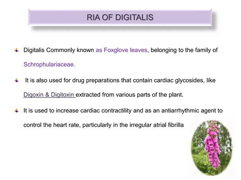 ria on digitalis | PPTX