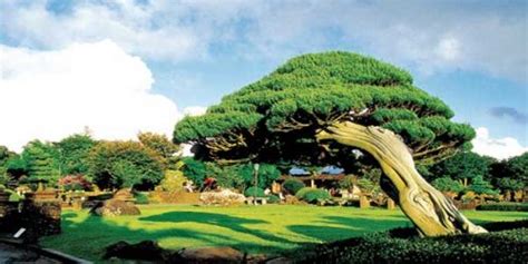 Top Four Stunningly Beautiful Places in South Korea - Flamingo Travels