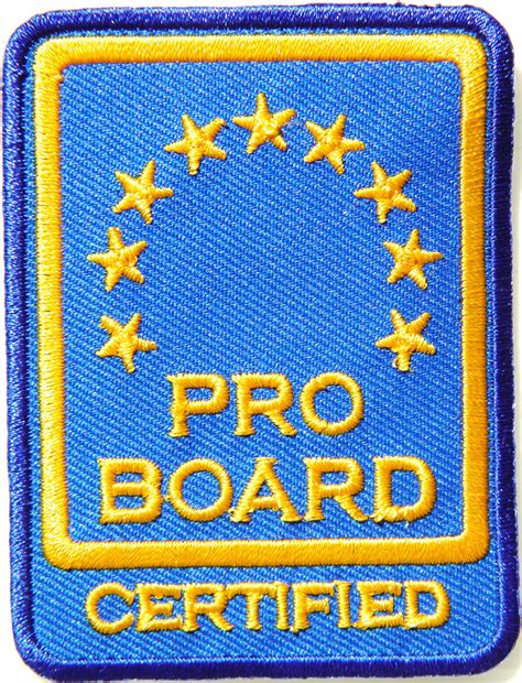 Panicha Uniform Patch Pro Board Certified Logo Fire Service T ...