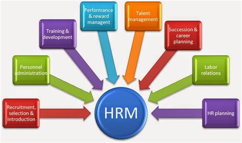 Strategic Human Resource Management 101: Your Essential Guide