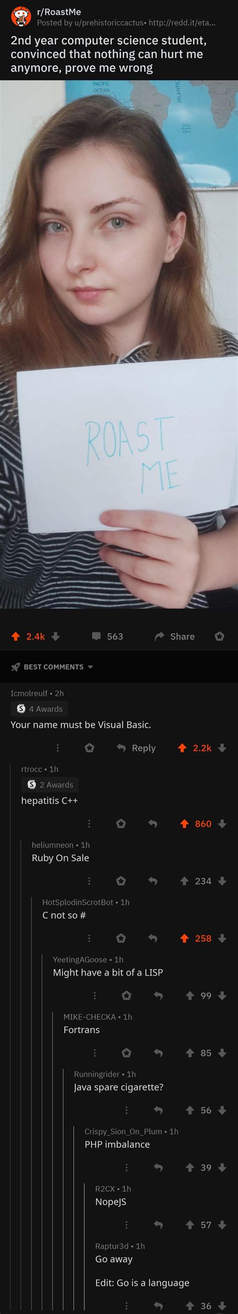 Image result for Visual Basic Horrible