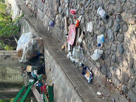 free trash collecting Hike Volunteerism opportunity.