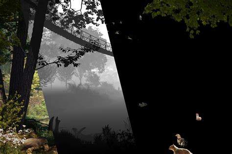 Nature Park 的图像结果