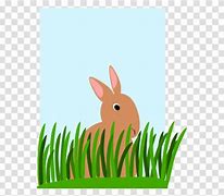 Image result for Fast Rabbit Clip Art