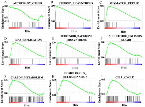 Autophagy Inhibits Grass Carp Reovirus (GCRV) Replication and Protects ...