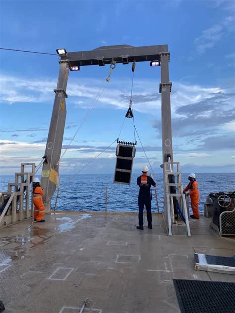 Alien Material 的图像结果