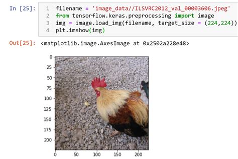 Image result for Classification Picture