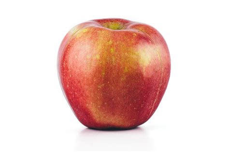 Image result for Apple System.Data