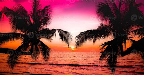 Beautiful sunset on the tropical sea beach.Silhouette of palm trees on ...