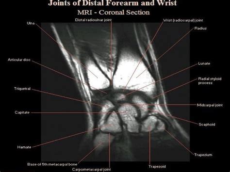 Image result for Operating Model Sample
