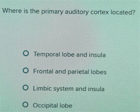Solved: Where is the primary auditory cortex located? Temporal lobe and ...