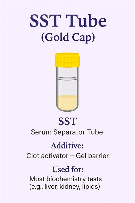 SST Tube (Gold Cap) – What’s It For? in 2025 | Medical laboratory ...