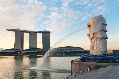 办理新加坡留学签证，需要哪些材料以及步骤是什么？ - 知乎