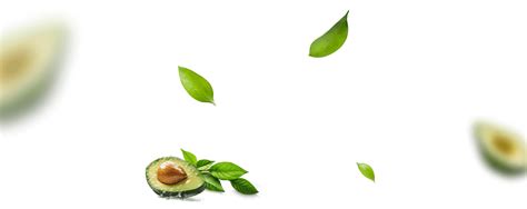 Amarantha Ayurveda | Buy Ayurvedic Products Online