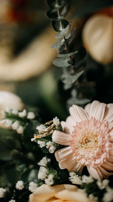 [300+] Wedding Backgrounds | Wallpapers.com